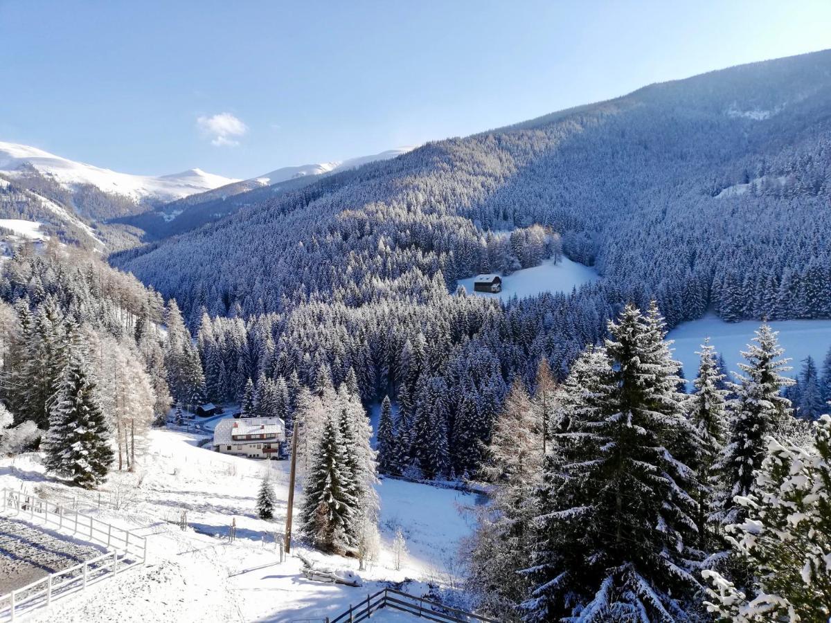 Ferienwohnung Magic View @ Rosie Chalet Bad Kleinkirchheim Exterior foto